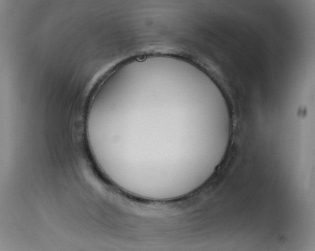 X0000112480012200909071208