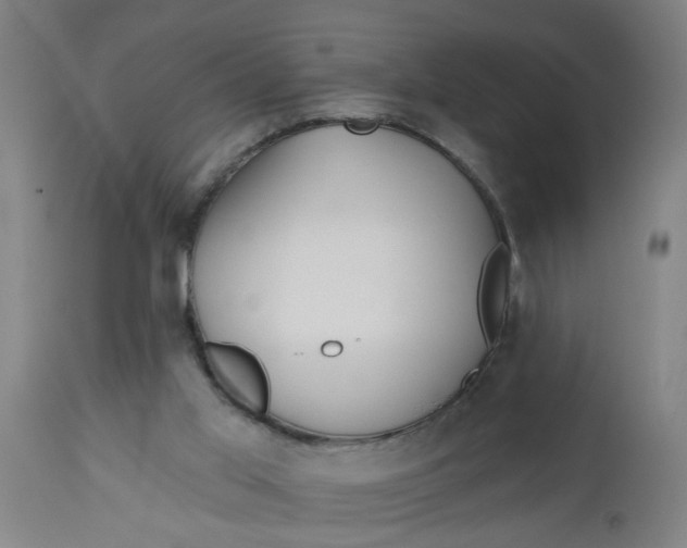 X0000112480013200909071208