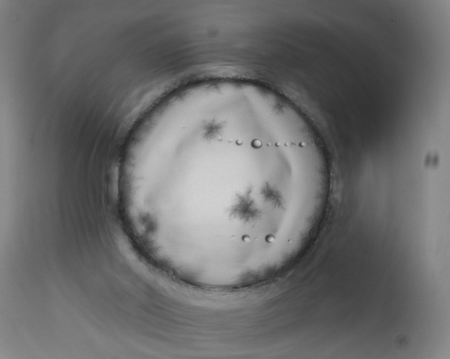 X0000112480014200909071208