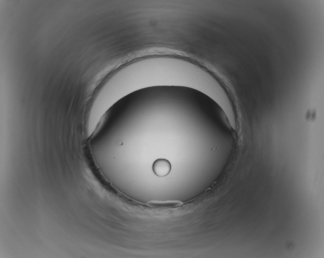 X0000112480015200909071208