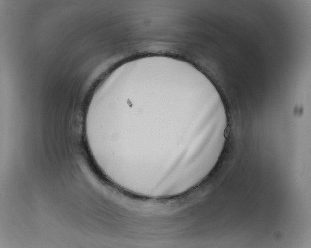 X0000112480016200909071208