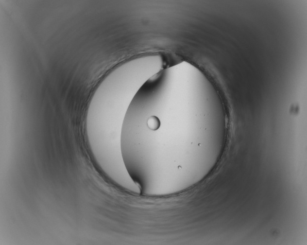 X0000112480017200909071208