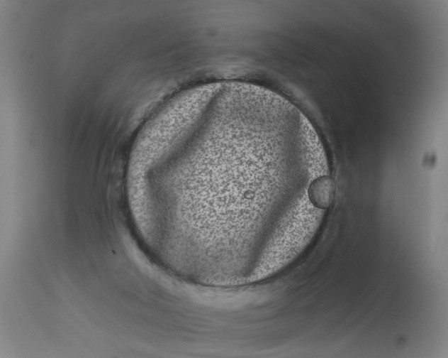 X0000112480018200909071208