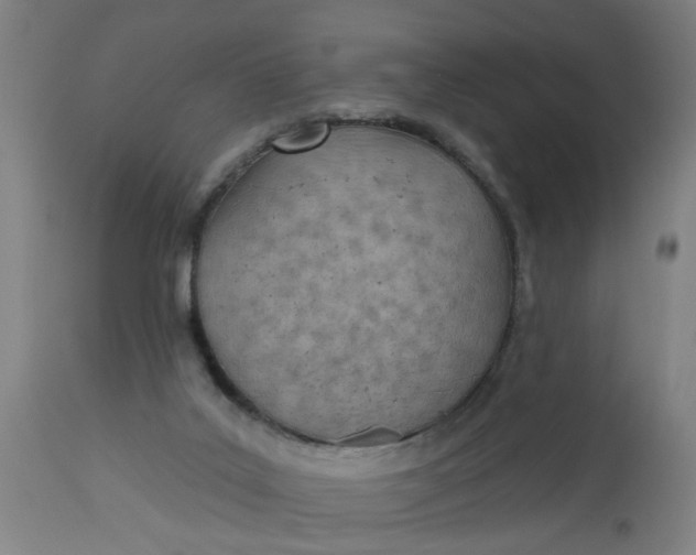 X0000112480019200909071208