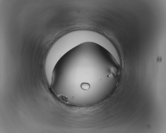 X0000112480021200909071208