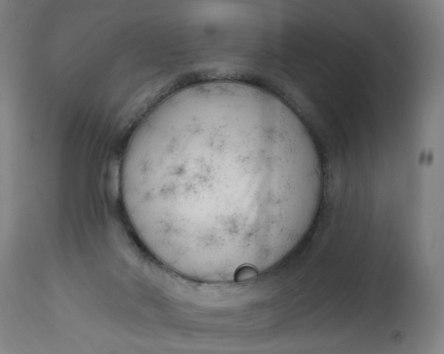 X0000112480022200909071208