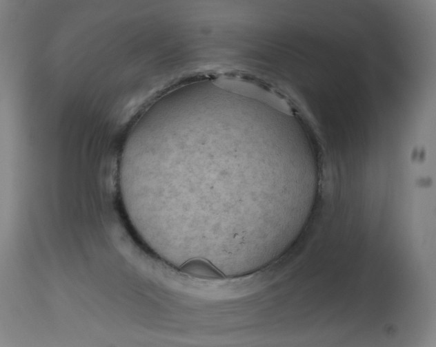 X0000112480023200909071208