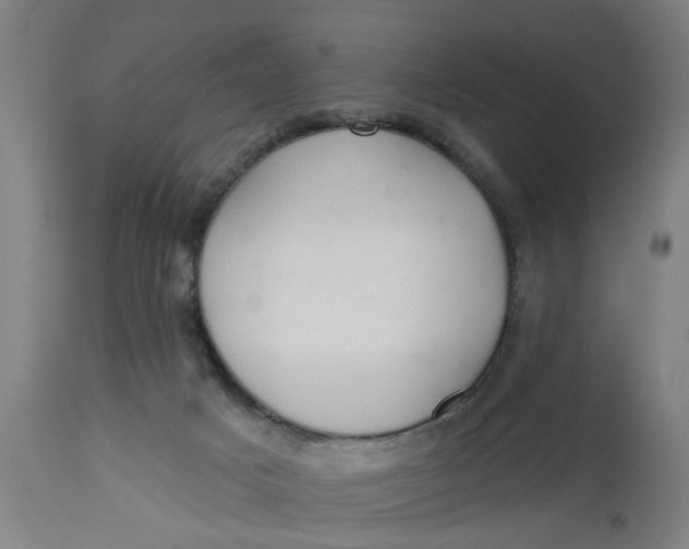 X0000112480025200909071208