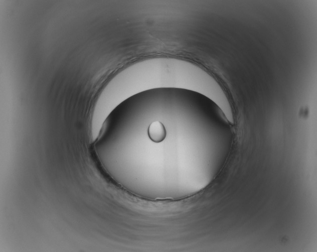 X0000112480027200909071208