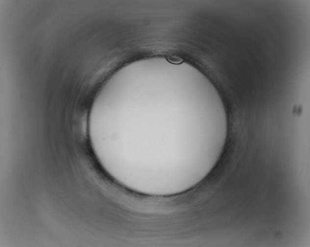 X0000112480028200909071208