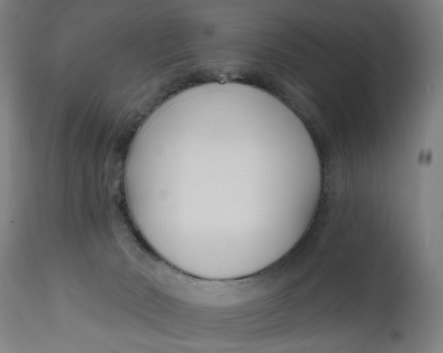 X0000112480030200909071208