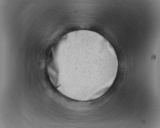 X0000112480032200909071208