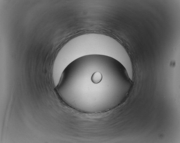 X0000112480033200909071208