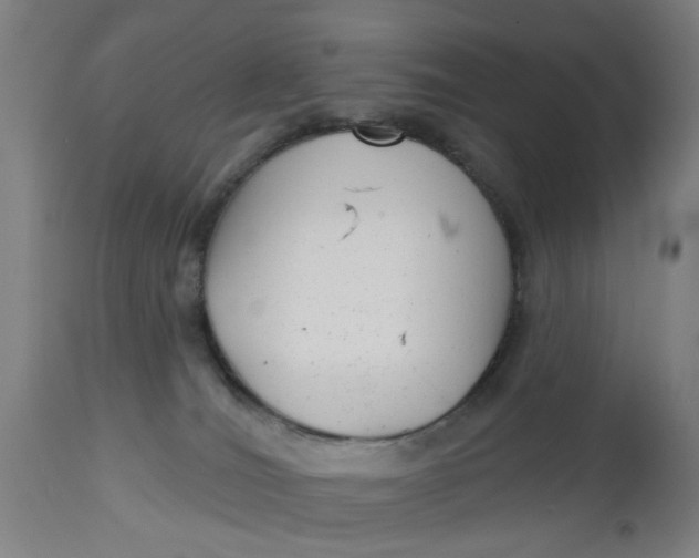 X0000112480036200909071208