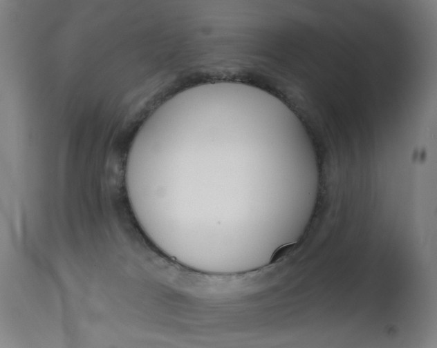 X0000112480037200909071208