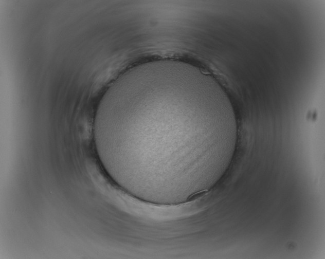 X0000112480039200909071208