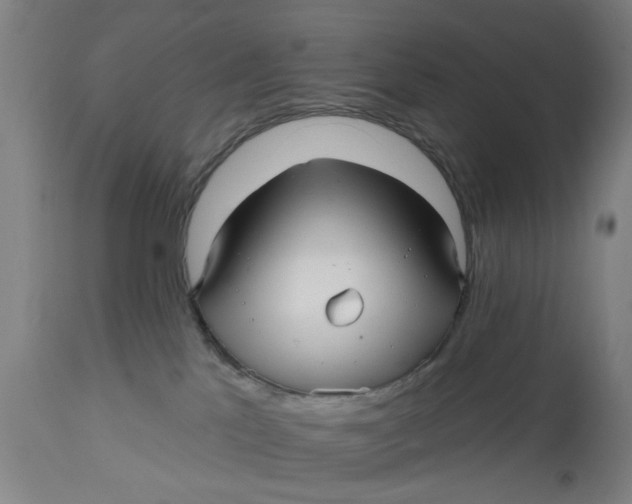 X0000112480041200909071208