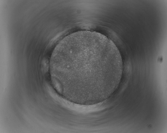 X0000112480043200909071208