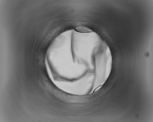 X0000112480044200909071208