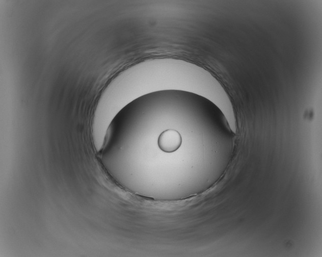 X0000112480045200909071208