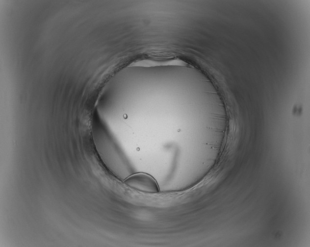 X0000112480048200909071208