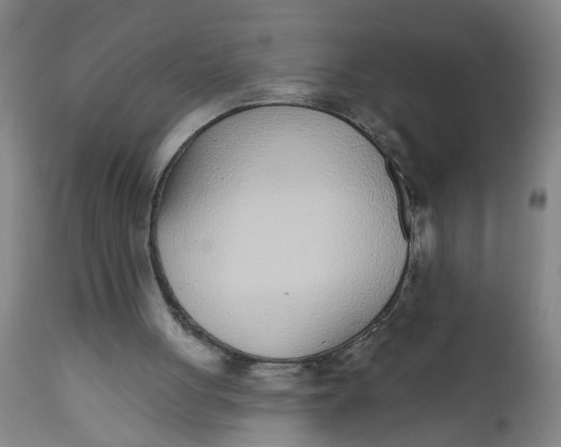 X0000112480051200909071207