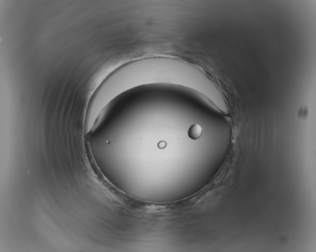 X0000112480052200909071207