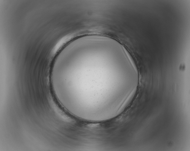 X0000112480054200909071207