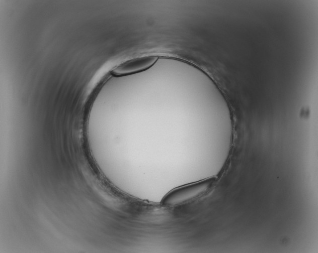 X0000112480056200909071207