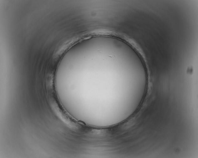 X0000112480057200909071207