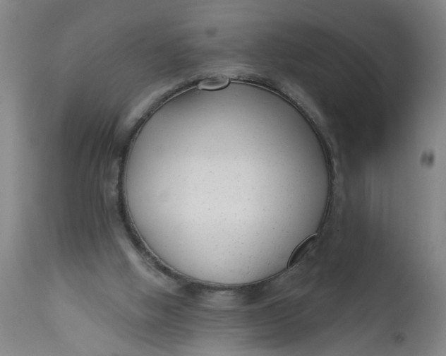 X0000112480058200909071207