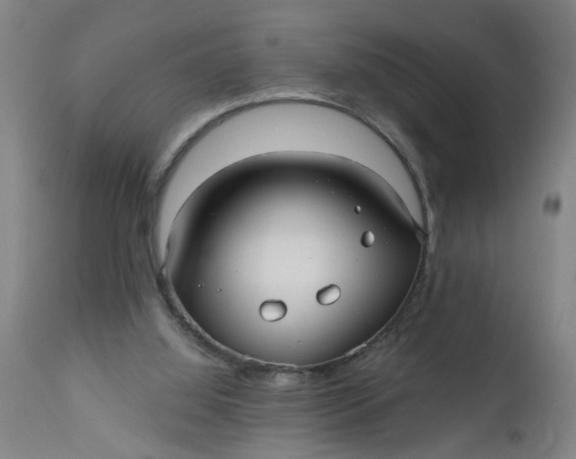 X0000112480060200909071207