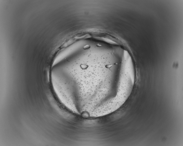 X0000112480061200909071207