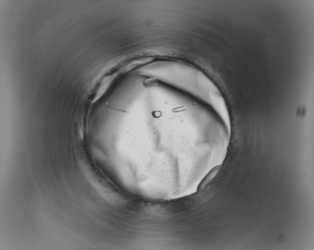 X0000112480062200909071207