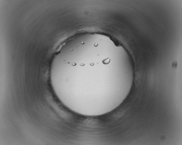 X0000112480063200909071207