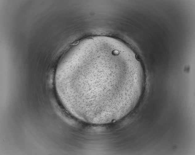 X0000112480065200909071207