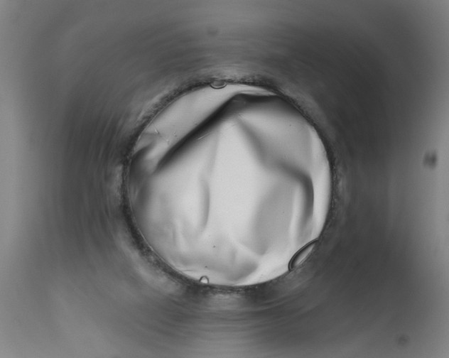 X0000112480066200909071207