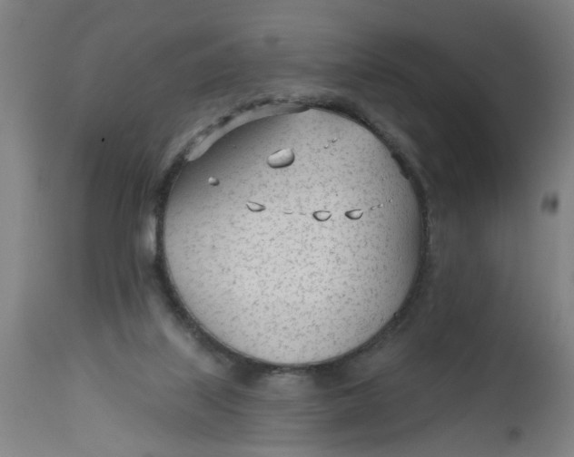 X0000112480067200909071207