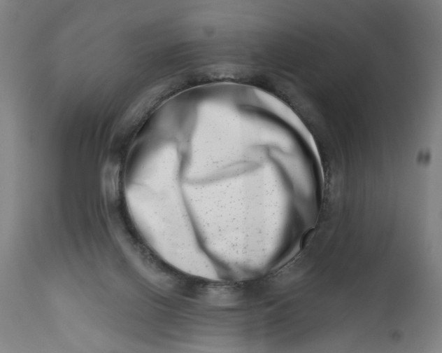 X0000112480070200909071207