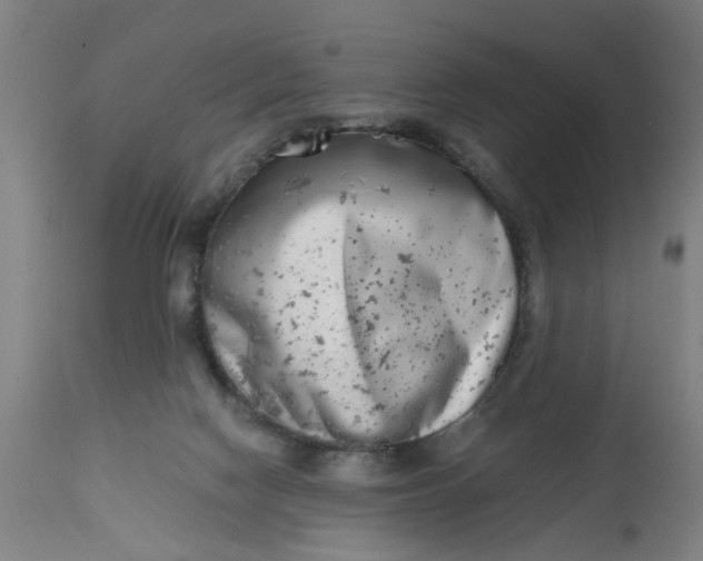 X0000112480074200909071207