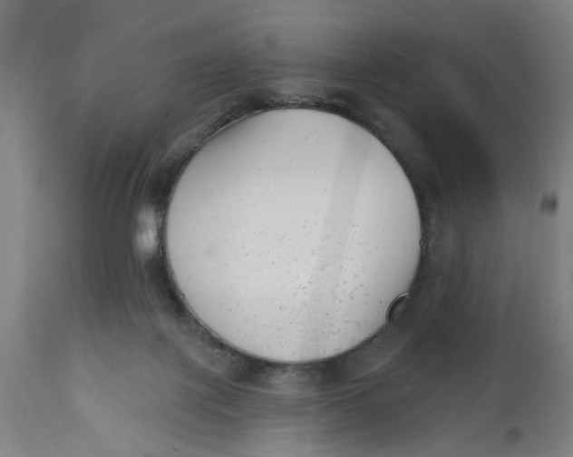 X0000112480075200909071207