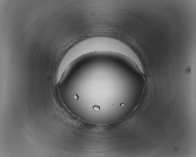 X0000112480076200909071207