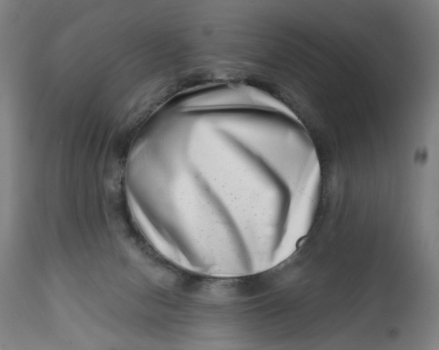 X0000112480078200909071208