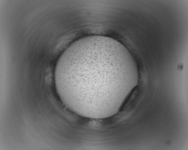 X0000112480080200909071208