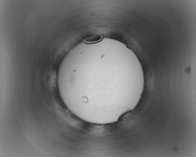 X0000112480083200909071208