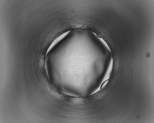 X0000112480085200909071208