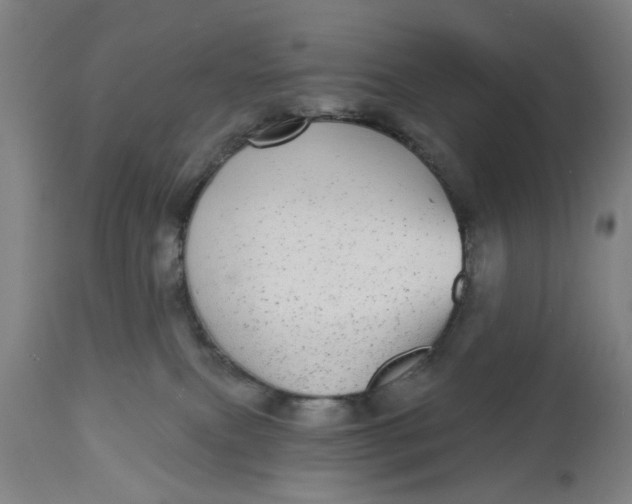 X0000112480087200909071208