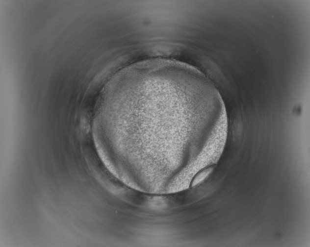 X0000112480091200909071208