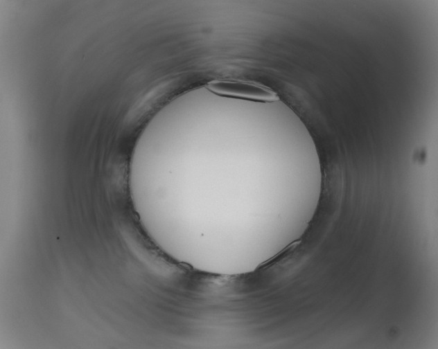 X0000112480092200909071208