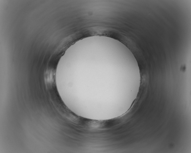 X0000112480094200909071208